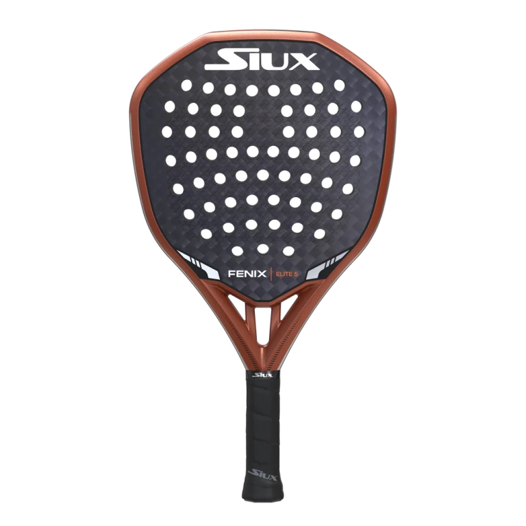 Fenix5Elite.3.1